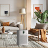 Purificateur d'Air Maison, Filtre HEPA élimine de Particules, L'odeur, Poils d'animaux..pour 100m2