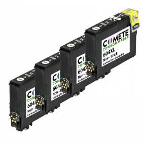 604xl cartouches d'encre ananas epson 604