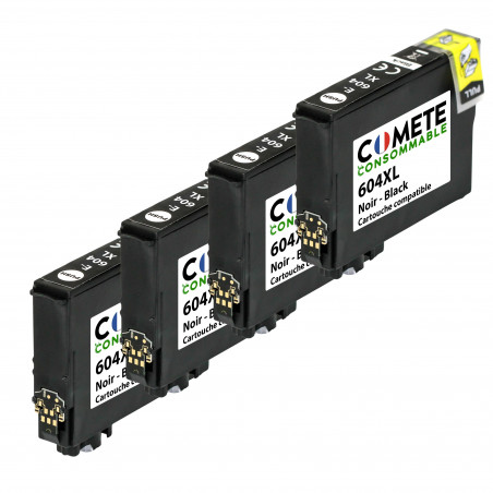 604xl cartouches d'encre ananas epson 604